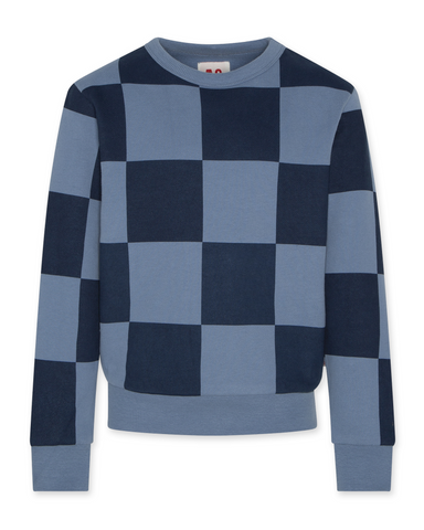 American outfitters - Blauwe geruite sweater