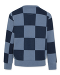 American outfitters - Blauwe geruite sweater