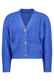Like FLO - Blauw gebreid vest